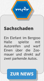 ZUR NEWS Sachschaden  Ein Elefant im Bergzoo Halle spielte mit Autoreifen und warf Einen über die Zoo-mauer und direkt auf zwei parkende Autos.