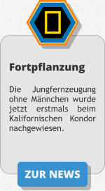 ZUR NEWS Fortpflanzung  Die Jungfernzeugung ohne Männchen wurde jetzt erstmals beim Kalifornischen Kondor nachgewiesen.