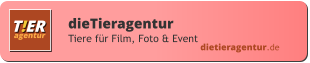 dietieragentur.de dieTieragentur Tiere für Film, Foto & Event T!ER agentur